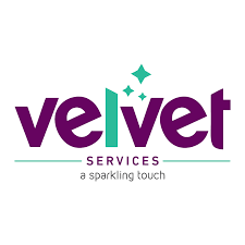  Expert Pest Control Services in Lebanon - Velvet Services